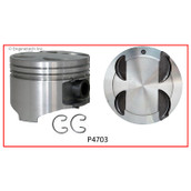 P4703(4) Piston Set