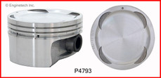 P4793(6) Piston Set