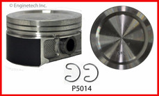 P5014(10) Piston Set