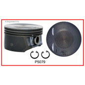 P5079(5) Piston Set