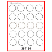 S84134 Piston Ring Set