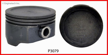 P3079(8) Piston Set