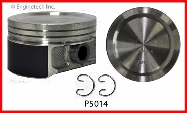 P5014(10) Piston Set