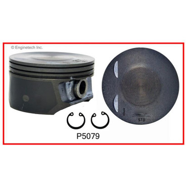 P5079(4) Piston Set