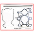 F365CS-A Gasket Set - Lower