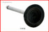 I1418 Valve - Intake (O/S Stem And Head)
