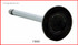 I1830 Valve - Intake (O/S Stem And Head)