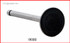 I9080 Valve - Intake (O/S Stem And Head)