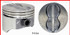 P1534(8) Piston Set