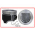 P3087(8) Piston Set