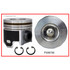 P5087(8) Piston Set