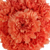 Carnation -Orange