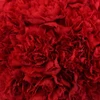 Carnation -Red