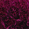 Carnation - Purple