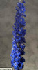 Dark Blue HYBRID Delphinium are  larger bloomed  and are double the petals.  Hybrid delphinium are typically packed 5 stems.