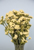 Statice flowers are a popular filler flower with and average of 5-8 tiny blooms clustered together. 