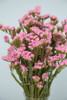  Statice flowers are a popular filler flower with and average of 5-8 tiny blooms clustered together. 