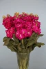 ruffled blooms that adorn tall leafy stalks.  Bunches have 10 stems.