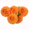 Dahlia Flowers saucer-shaped blooms feature a tight ball-like center with layers of spade-shaped petals surrounding it. Comes in bunches of 5.