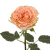Garden Rose - Country Home