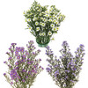 Asters are fabulous filler flowers, with several laterals per stem and multiple blooms per lateral. The blooms have luminous yellow centers, surrounded by dainty white petals that are simpleA bunch of garden aster. These asters are packed 10 stems per bunch.
