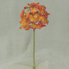 11.5" Hydrangea Stem-RUST