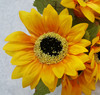 Sunflower Bush (x 6)