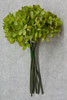 NATURAL GREEN bouquet (x 6)