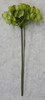 NATURAL GREEN single stem
