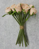 Janna Rose Bud Bouquet (x 12)