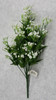 Gypso (Baby's Breath) Bush (x 14)