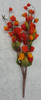 Chinese Lantern Bush