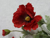18" Poppy Bush (X 9)