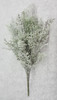 Dusty Miller Bush (X 9)