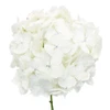 White Hydrangea haves mall clover-shaped blooms that form a large focal flower