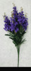 Delphinium Bush (x 11)-purple