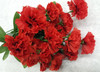 Mini Carnation Bush-RED