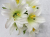 Weatherproof Easter Lily Bush