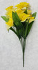 Yellow Daffodil Bush