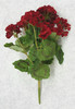 RED Geranium Bush