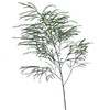 Bushy in appearance, this green averages 15-22 inches in length and features delicate and airy foliage.