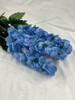 blue hyacinth flowers