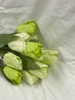 cream green tri color tulip bush