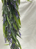 lavender hanging vine 