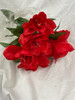 amaryllis bush x 8 (red)