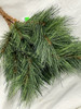 long needle pine spray (green)