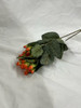 Hypericum Spray (orange)