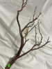 manzanita 2' natural  Antler Shaped Tree Twigs, Decorative Plant Branch for Festivals, Wedding,