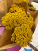 Fresh Yarrow sold in 10 stem bunches