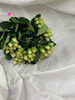 cream hypericum bush silk